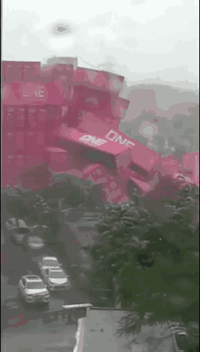 What Insurance Help You Recover Losses After Typhoons? What Insurance Help You Recover Losses After Typhoons?