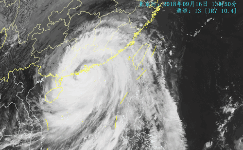 What Insurance Help You Recover Losses After Typhoons? What Insurance Help You Recover Losses After Typhoons?