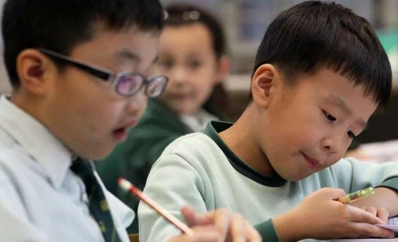 No Way! A Five-Year-Old’s CV Freaks Out Over Chinese Internet!