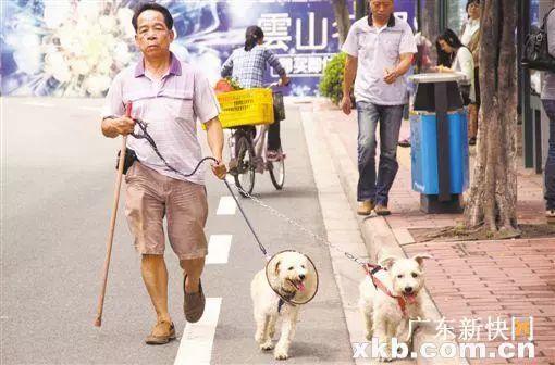 Fine 1,000RMB For Dog Walking Without A Muzzle!