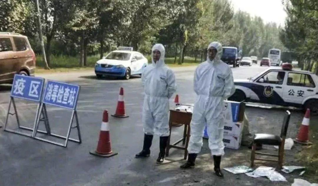 Alert! New Swine Fever Case Detected in Guangzhou!