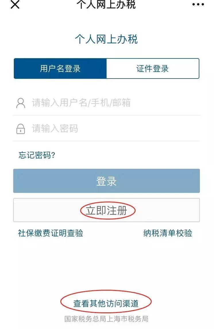 How to Check Your Tax Records in China?