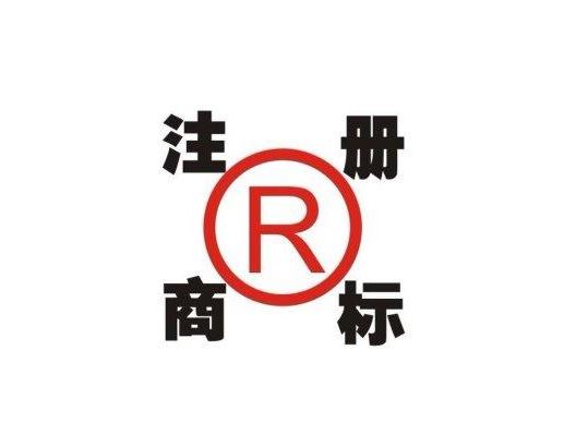 瀚客商标分享：“震园堂”商标无效宣告案