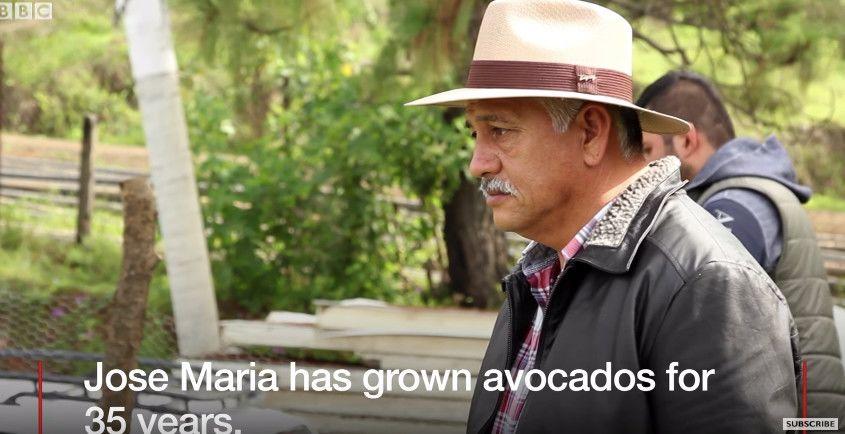 The Horrifying Truth About Avocados!