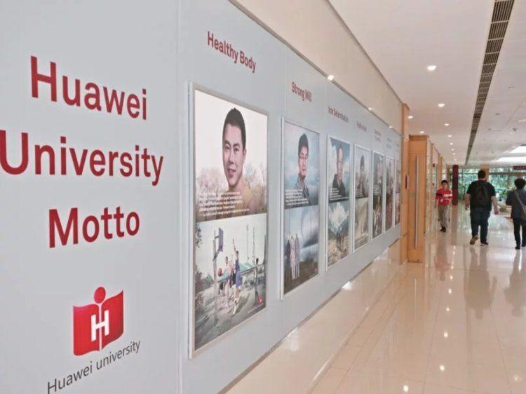 Amazing! A Day in Huawei As A Foreigner!