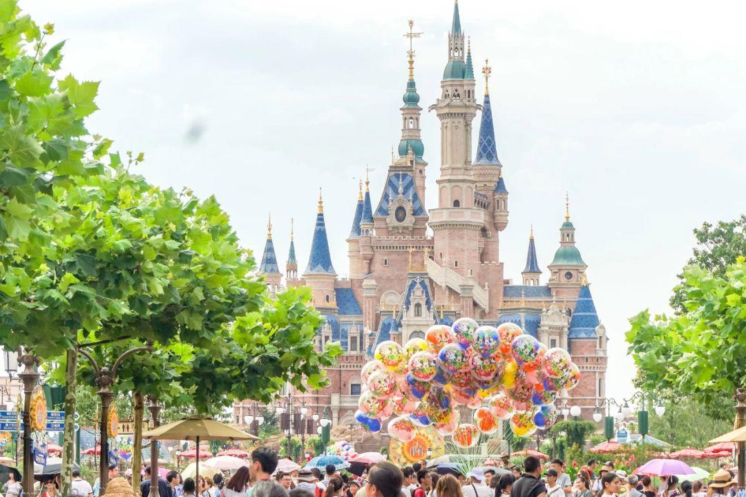 Unfair Clause? Shanghai Disneyland Sued for Food Policy!