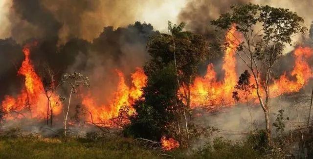 Heartbreak! Amazonia Burning for 3 Weeks Caused Global Concern! Heartbreak! Amazonia Burning for 3 Weeks Caused Global Concern!
