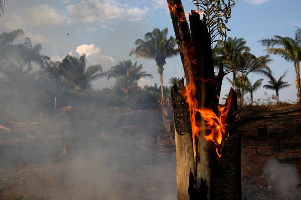 Heartbreak! Amazonia Burning for 3 Weeks Caused Global Concern! Heartbreak! Amazonia Burning for 3 Weeks Caused Global Concern!