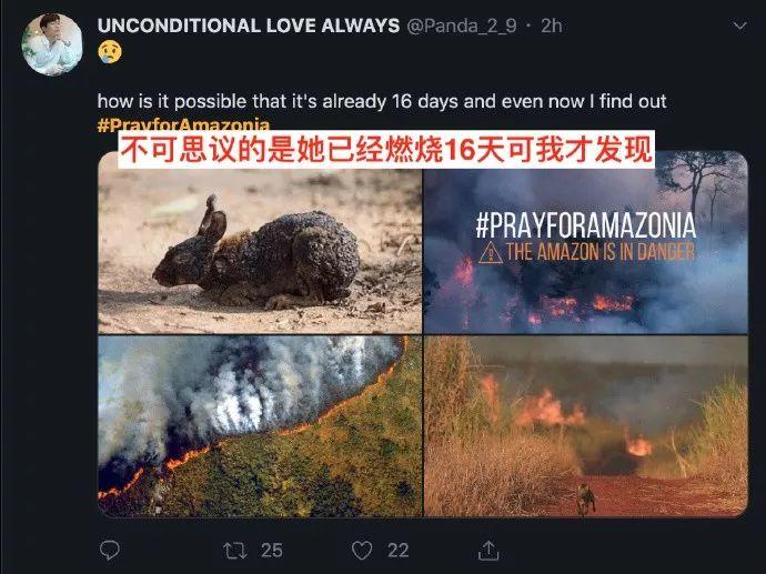 Heartbreak! Amazonia Burning for 3 Weeks Caused Global Concern! Heartbreak! Amazonia Burning for 3 Weeks Caused Global Concern!