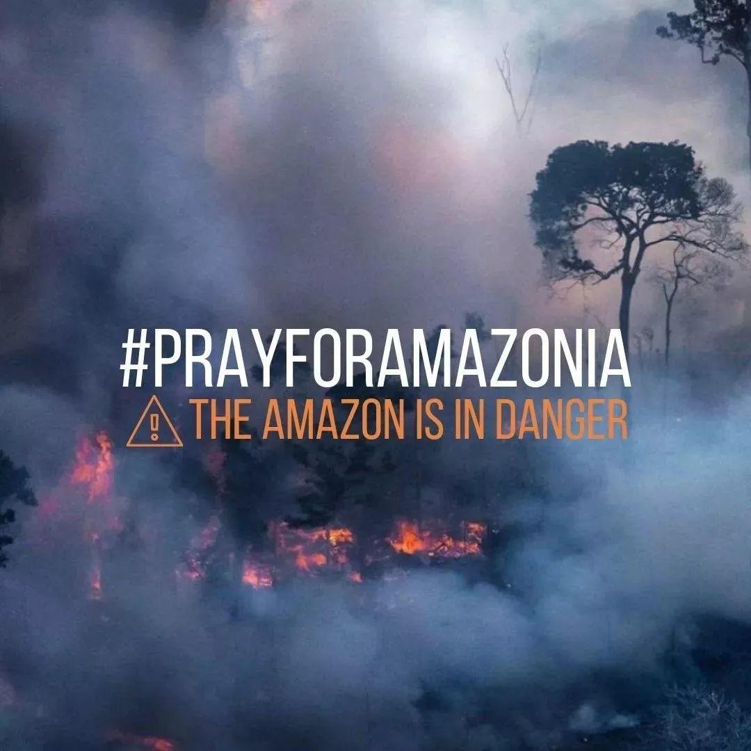 Heartbreak! Amazonia Burning for 3 Weeks Caused Global Concern! Heartbreak! Amazonia Burning for 3 Weeks Caused Global Concern!