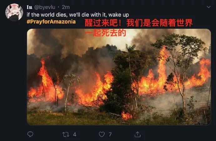 Heartbreak! Amazonia Burning for 3 Weeks Caused Global Concern! Heartbreak! Amazonia Burning for 3 Weeks Caused Global Concern!