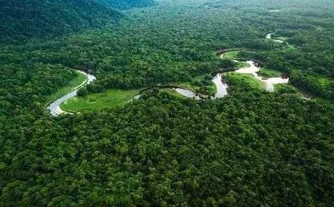 Heartbreak! Amazonia Burning for 3 Weeks Caused Global Concern! Heartbreak! Amazonia Burning for 3 Weeks Caused Global Concern!