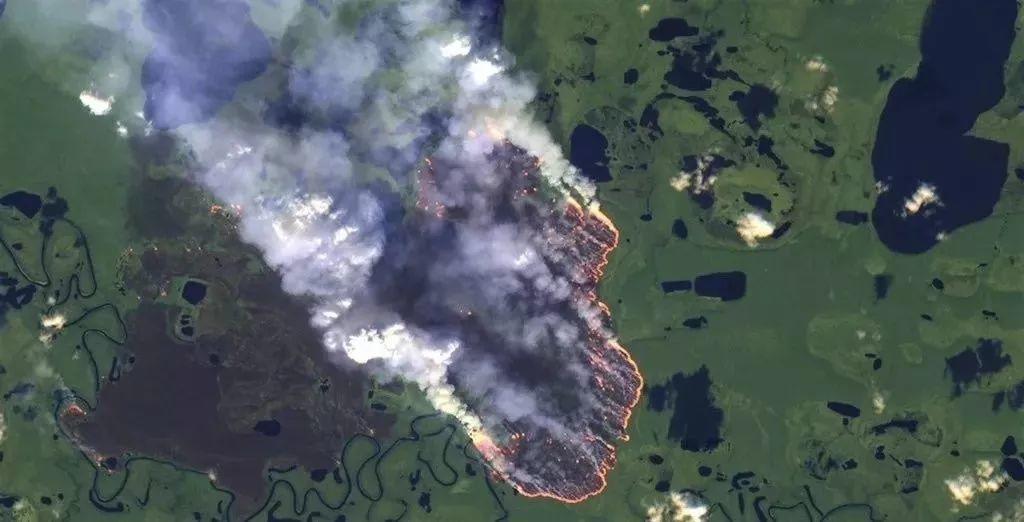 Heartbreak! Amazonia Burning for 3 Weeks Caused Global Concern! Heartbreak! Amazonia Burning for 3 Weeks Caused Global Concern!