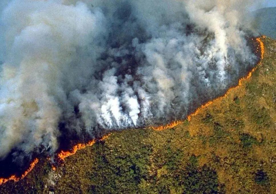 Heartbreak! Amazonia Burning for 3 Weeks Caused Global Concern! Heartbreak! Amazonia Burning for 3 Weeks Caused Global Concern!