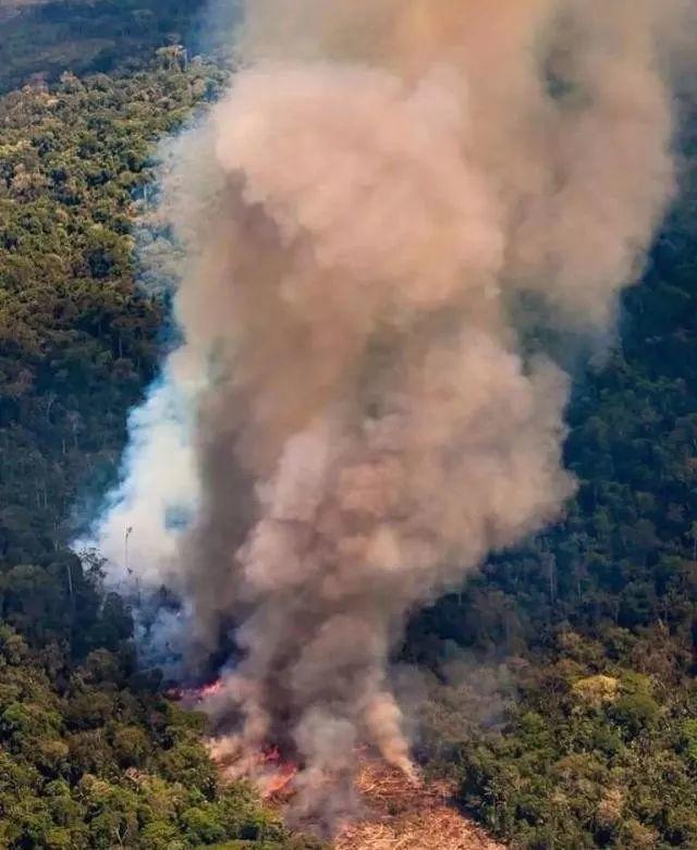 Heartbreak! Amazonia Burning for 3 Weeks Caused Global Concern! Heartbreak! Amazonia Burning for 3 Weeks Caused Global Concern!