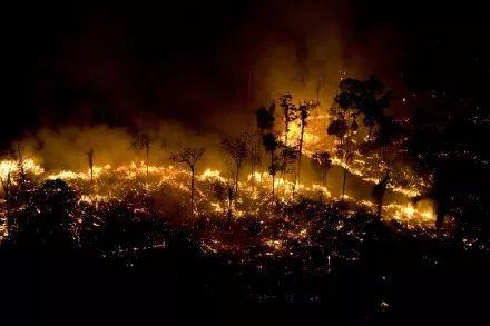 Heartbreak! Amazonia Burning for 3 Weeks Caused Global Concern! Heartbreak! Amazonia Burning for 3 Weeks Caused Global Concern!